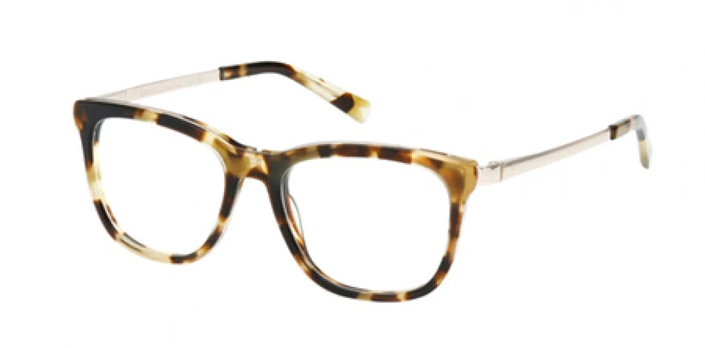 ABERCROMBIE & FITCH 50065 Eyeglasses - view 2